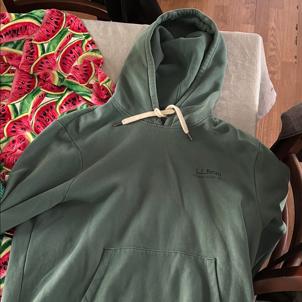 L.L. Bean Green Sweater with Hood and Drawstring